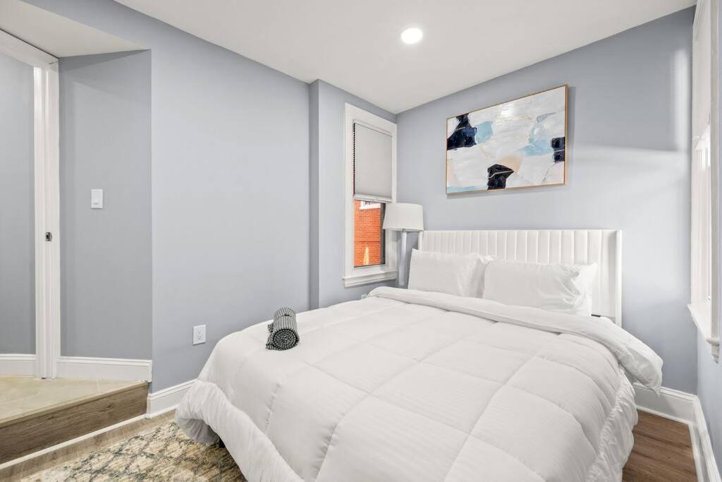 New! Cozy Apt In Center City! Φιλαδέλφεια Εξωτερικό φωτογραφία